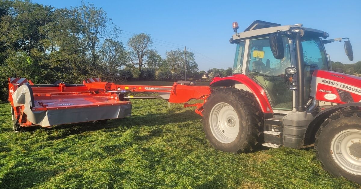 Paula Hynes: Hair cuts and grass cuts on the farm