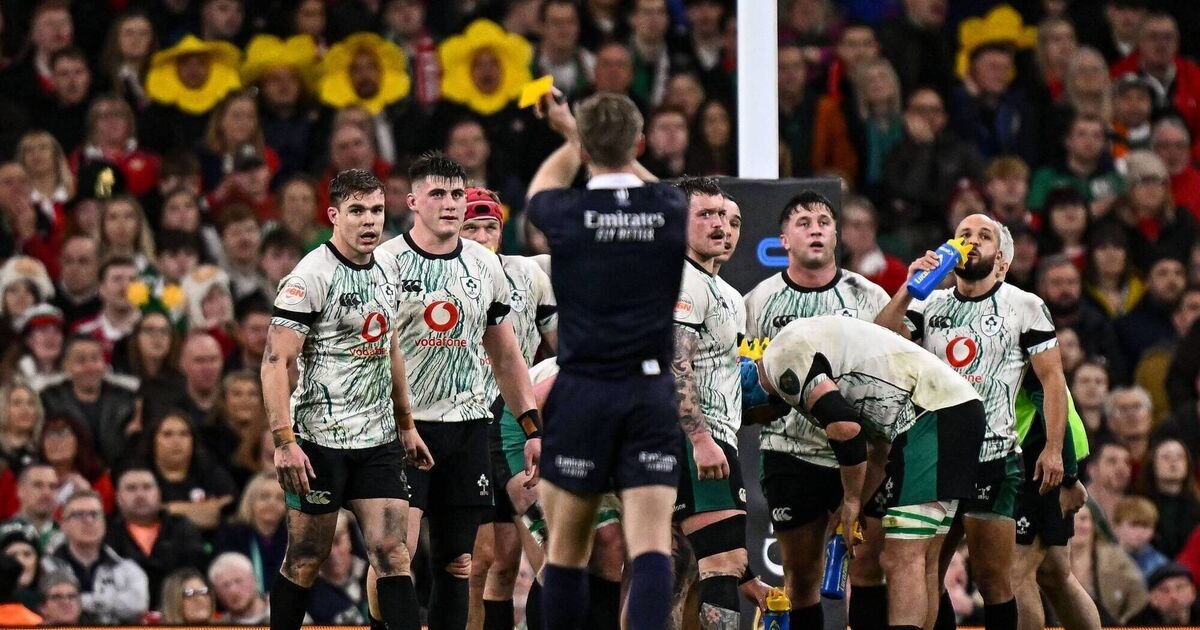 Controversial 20-minute red card will apply across professional rugby