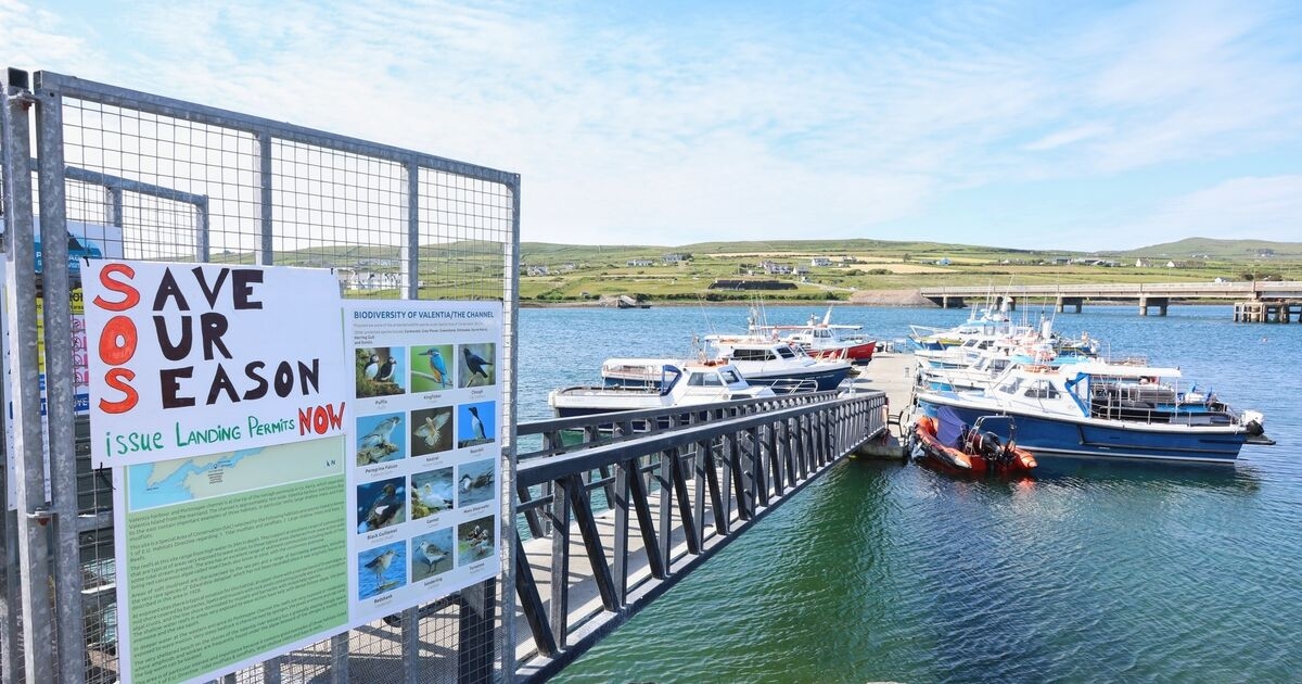 Boats sail out to Skellig Michael in protest to 'urgent threat to tourism'