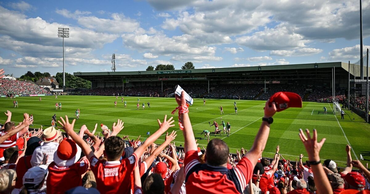 Anthony Daly: Brutal honesty the only way Cork can rehabilitate