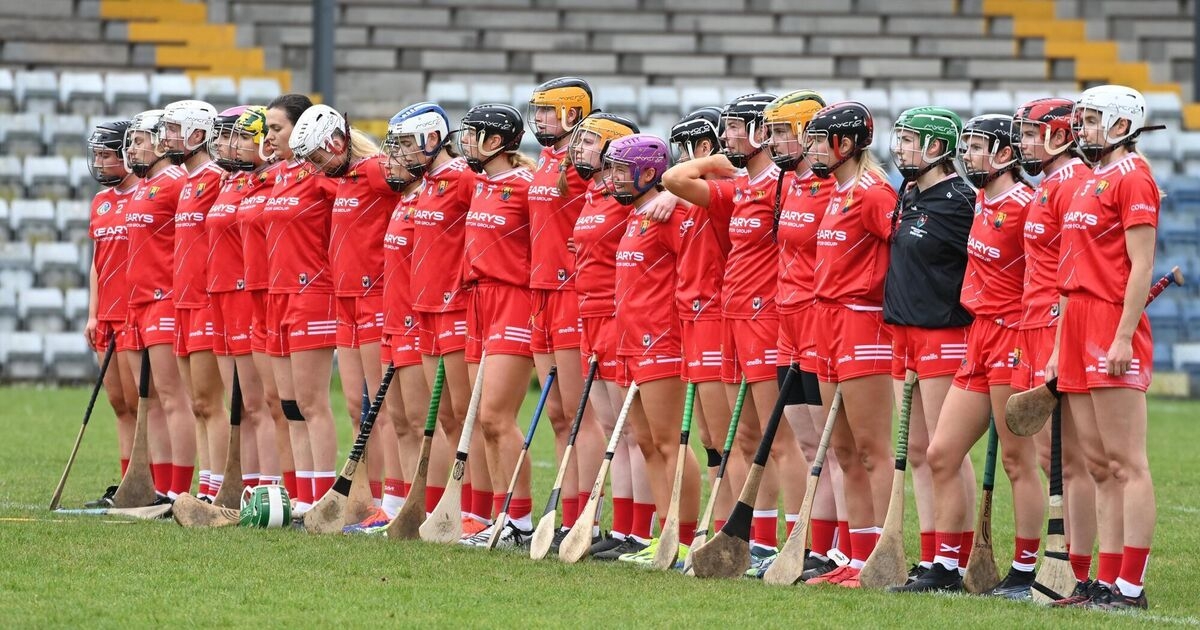 Cork a class apart as they make short work of Limerick