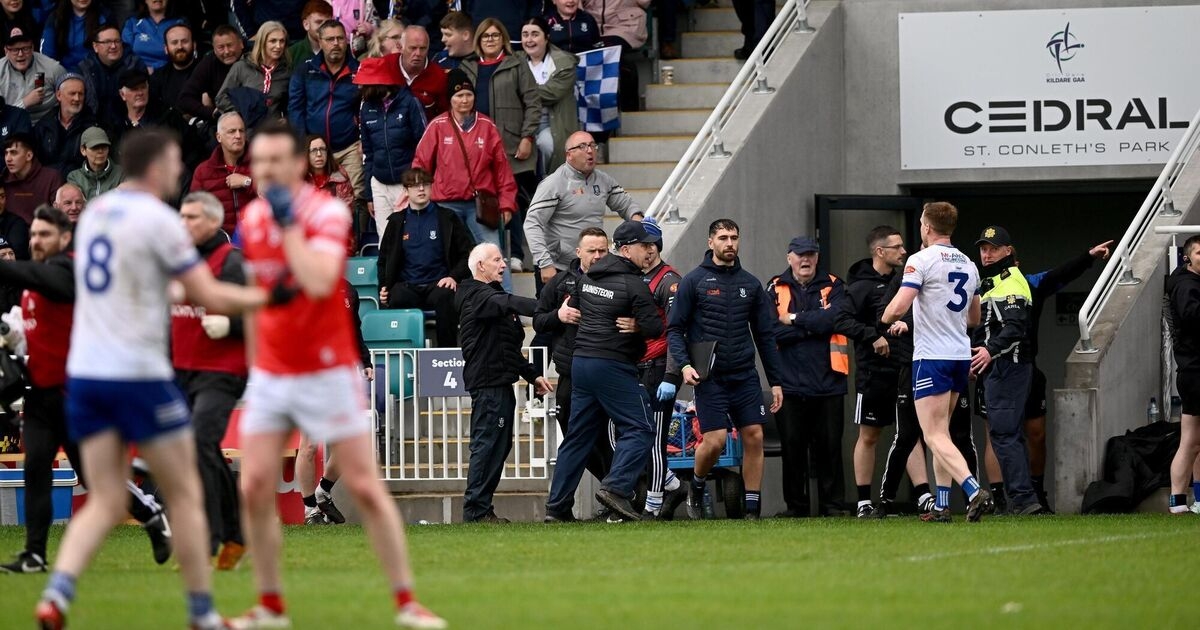 Stung Monaghan take out their frustrations on off-key Louth