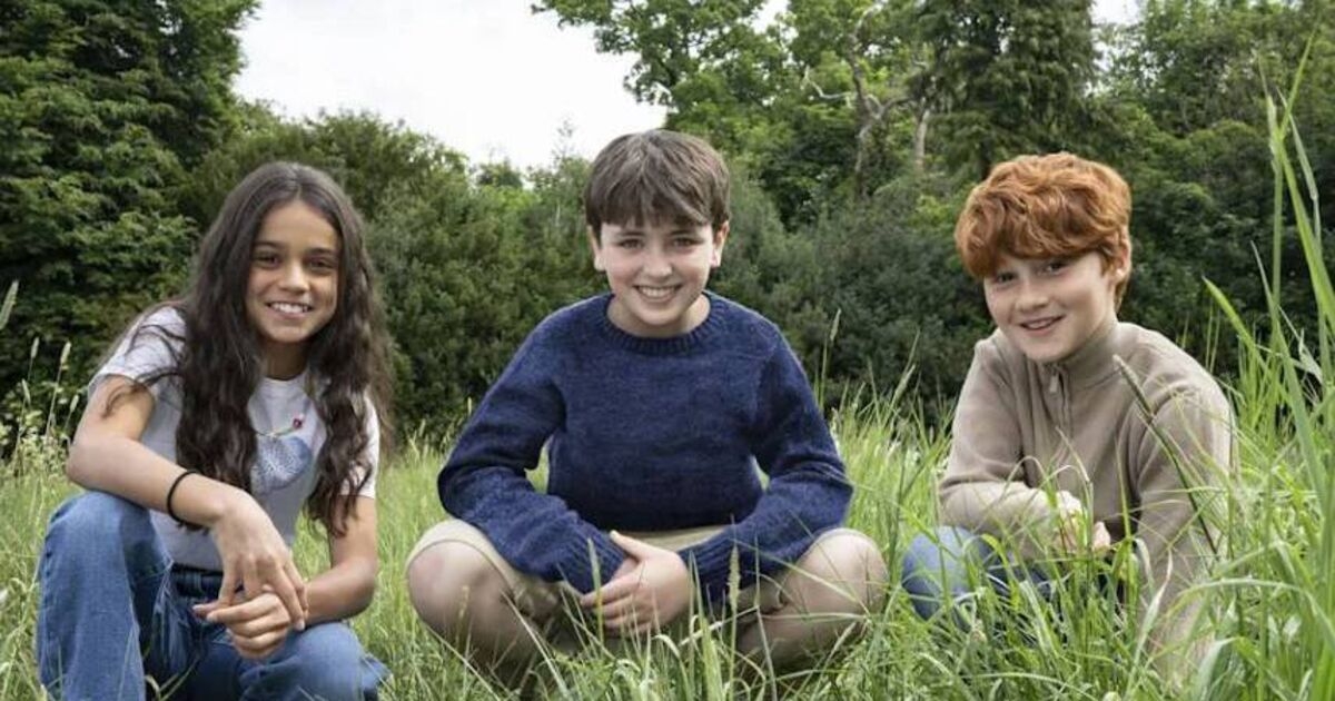 New HBO Harry Potter series casts Hermione, Ron and Harry