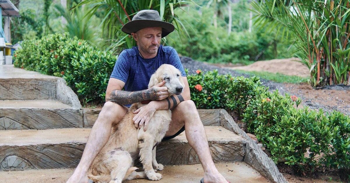 Neglected and mistreated 'street dogs' around the world.... and the man working to save them