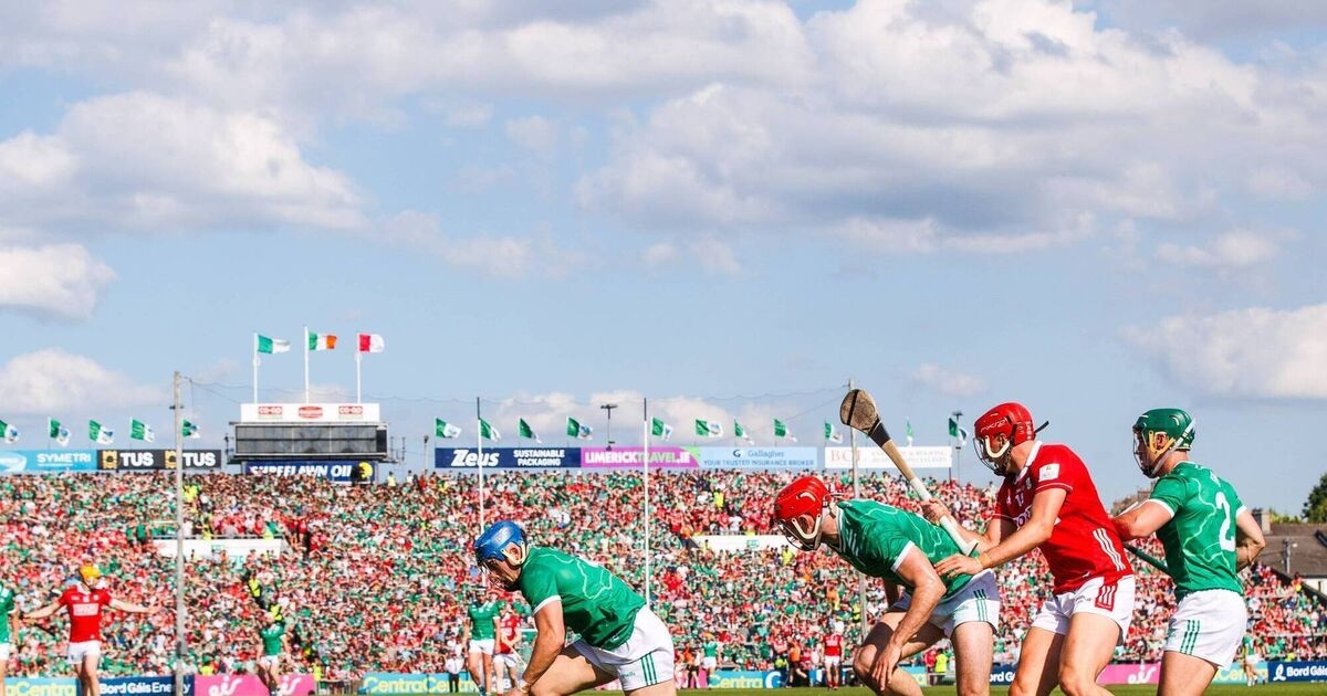 Pat Ryan hopeful Cork can provide value for money in Munster final