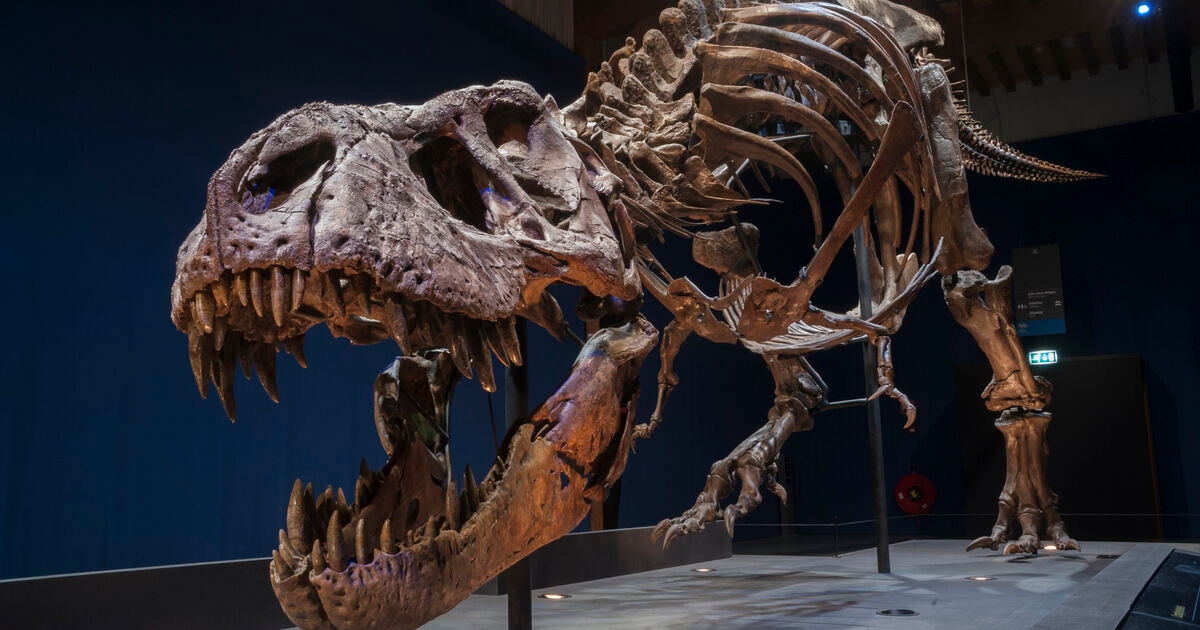 Dinosaurs could hold key to cancer discoveries, scientists say