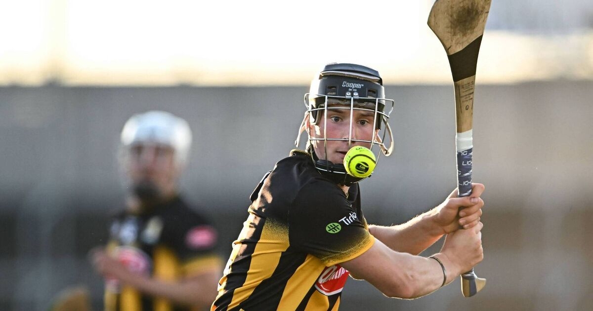 Anthony Daly: Another Nowlan Park loss to Tipp would be apocalyptic for Kilkenny