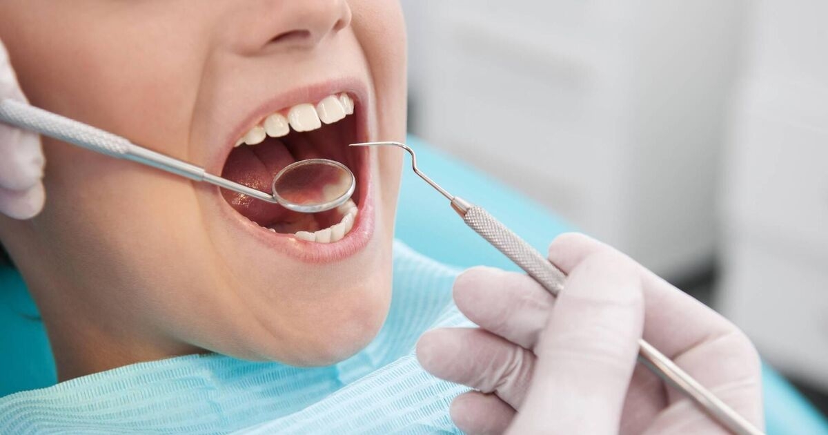 Ireland facing dentist shortage as training places stagnate for nearly 30 years