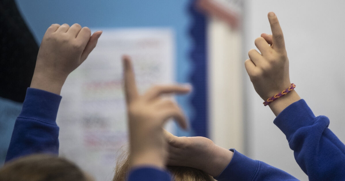 Principals warn 'catch-all' special schools will push pupils back into mainstream classes