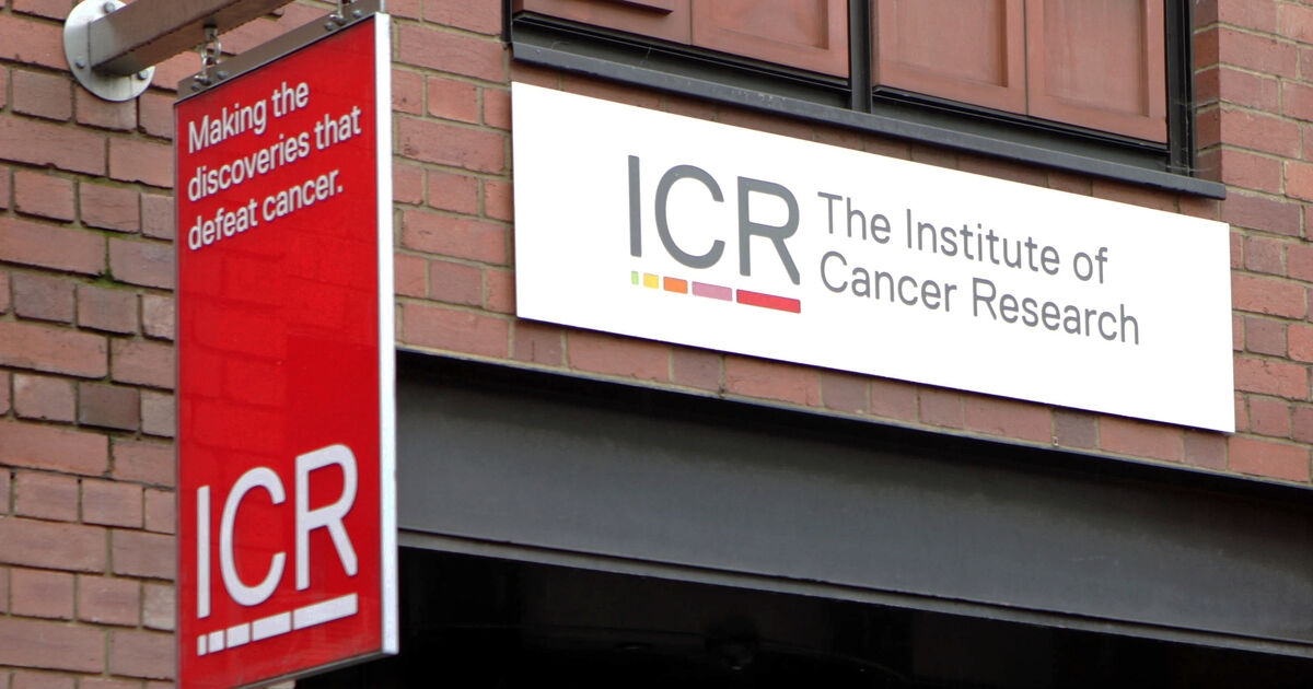 New drug can help stop certain breast cancer tumours early, trial shows