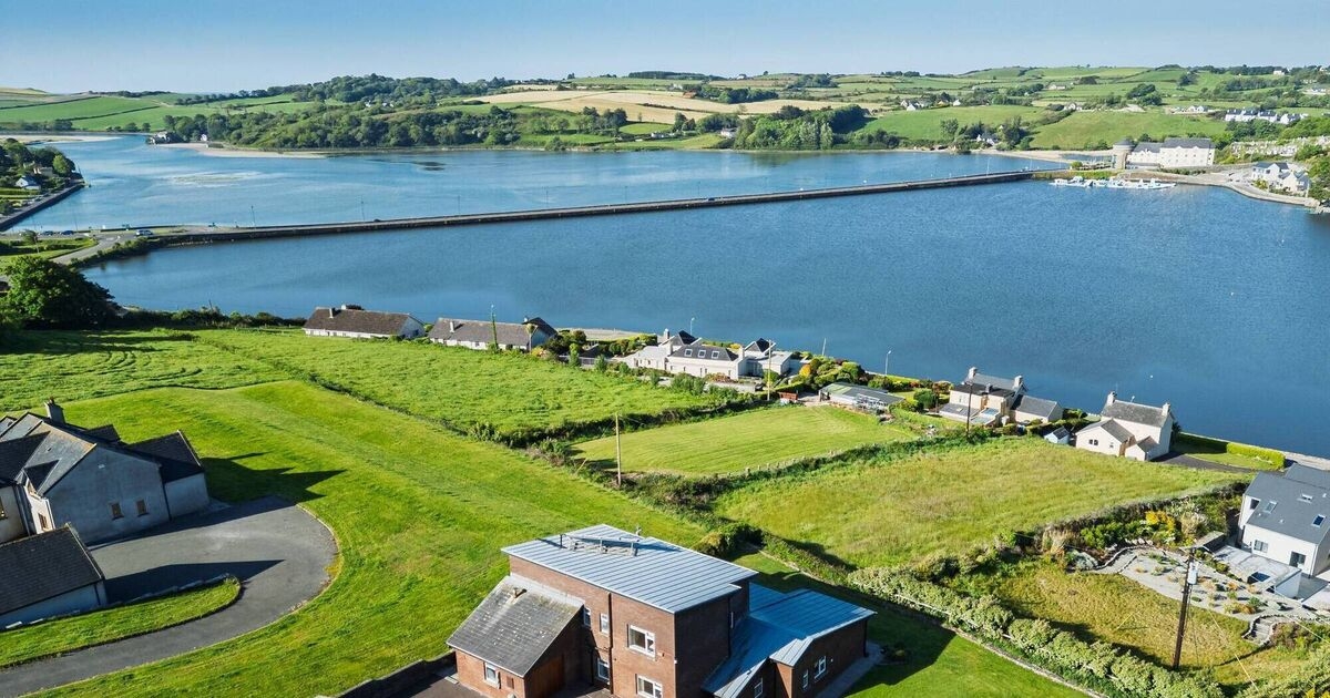 Go to bat and batter in West Cork hotspot Rosscarbery