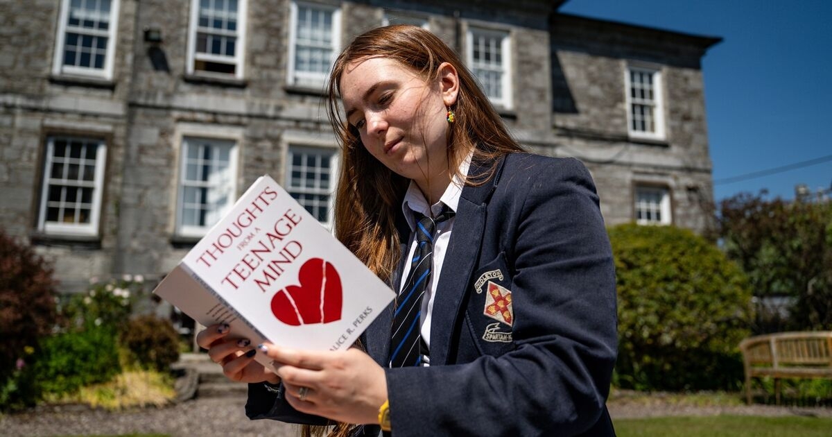 'It would level the playing field to have more time': Dyslexic student calls for extra exam time