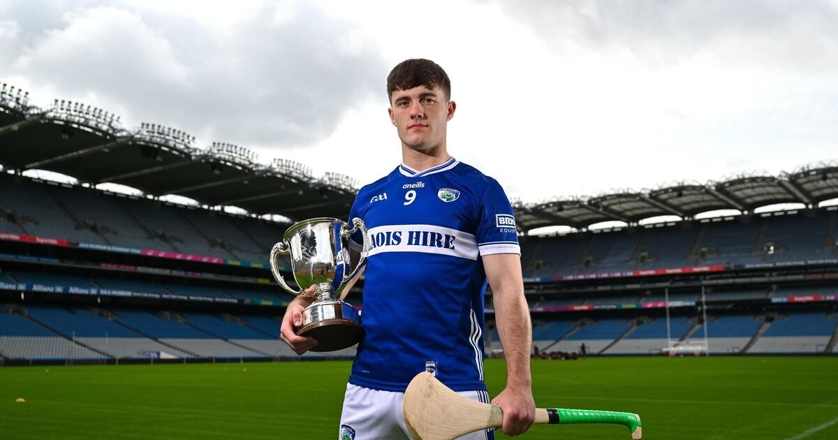 Laois captain 'grateful' moment of 'mayhem' went their way to secure McDonagh Cup final spot