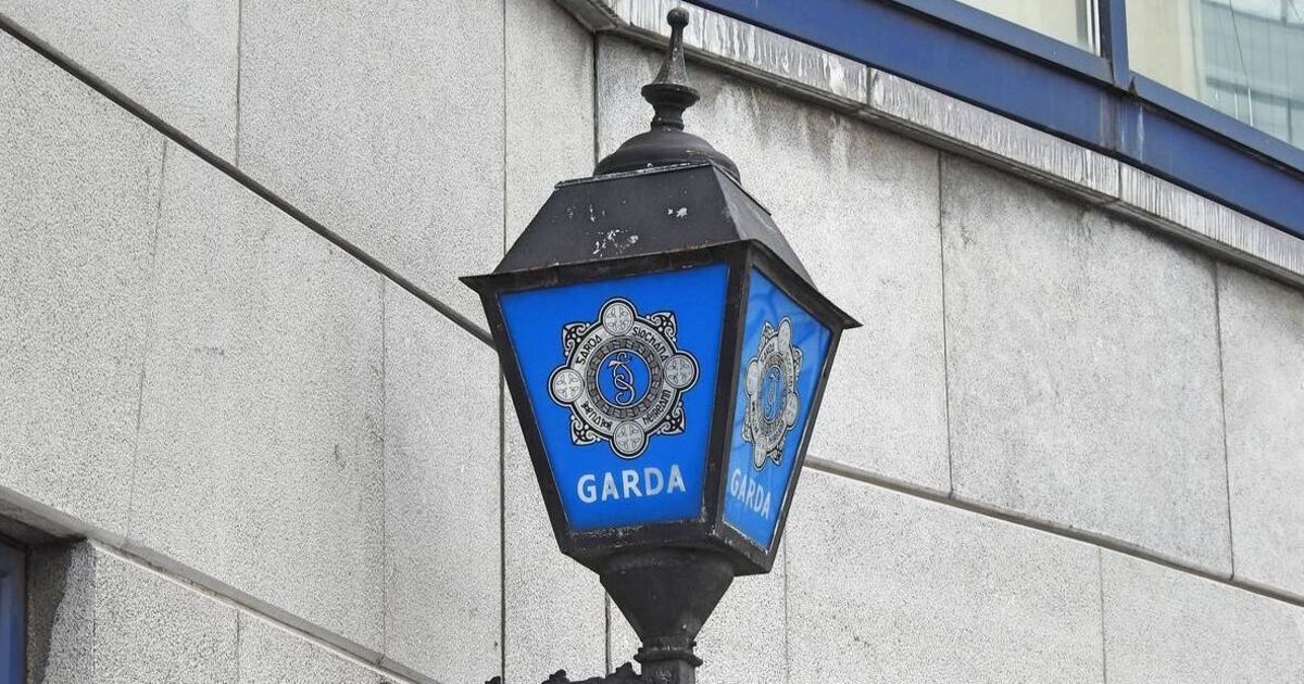 Man in his 80s dies in Westmeath house fire