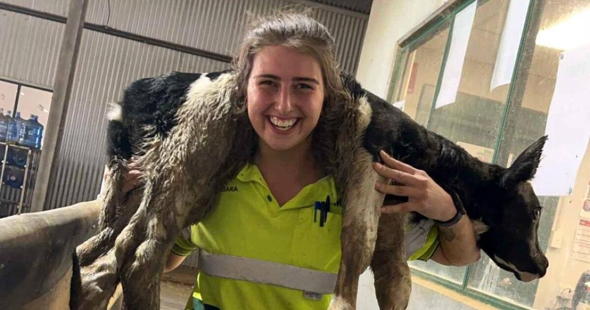 Sunburnt but seasoned: Young Irish farmers back from Down Under