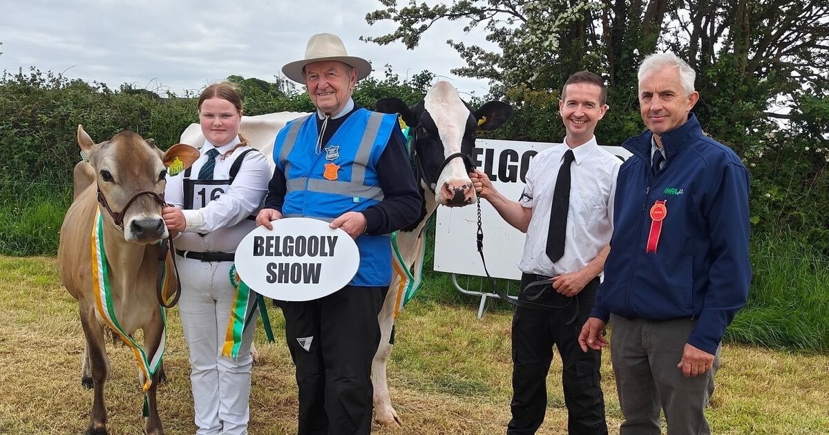 Paula Hynes: I greet my guests with a 'Welcome to Fawlty Towers' sign