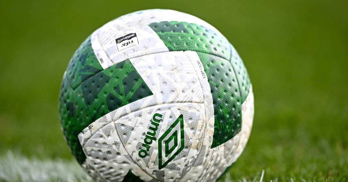 Full committee of Limerick football league 'stood down' by FAI