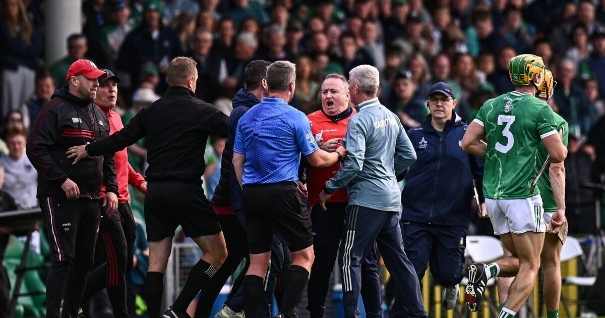 'We're all fighting tooth and nail for the calls' - Ryan on half-time management clash with Walsh