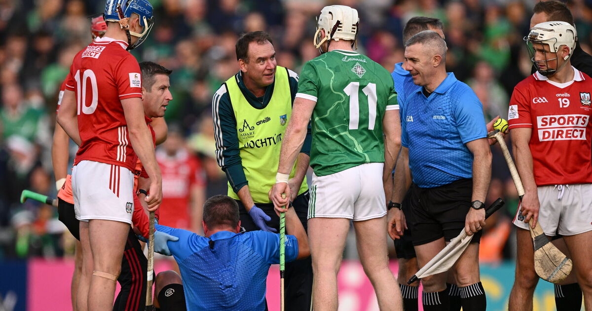 Brian Gavin: Injury to Munster final ref underlines need to support officials