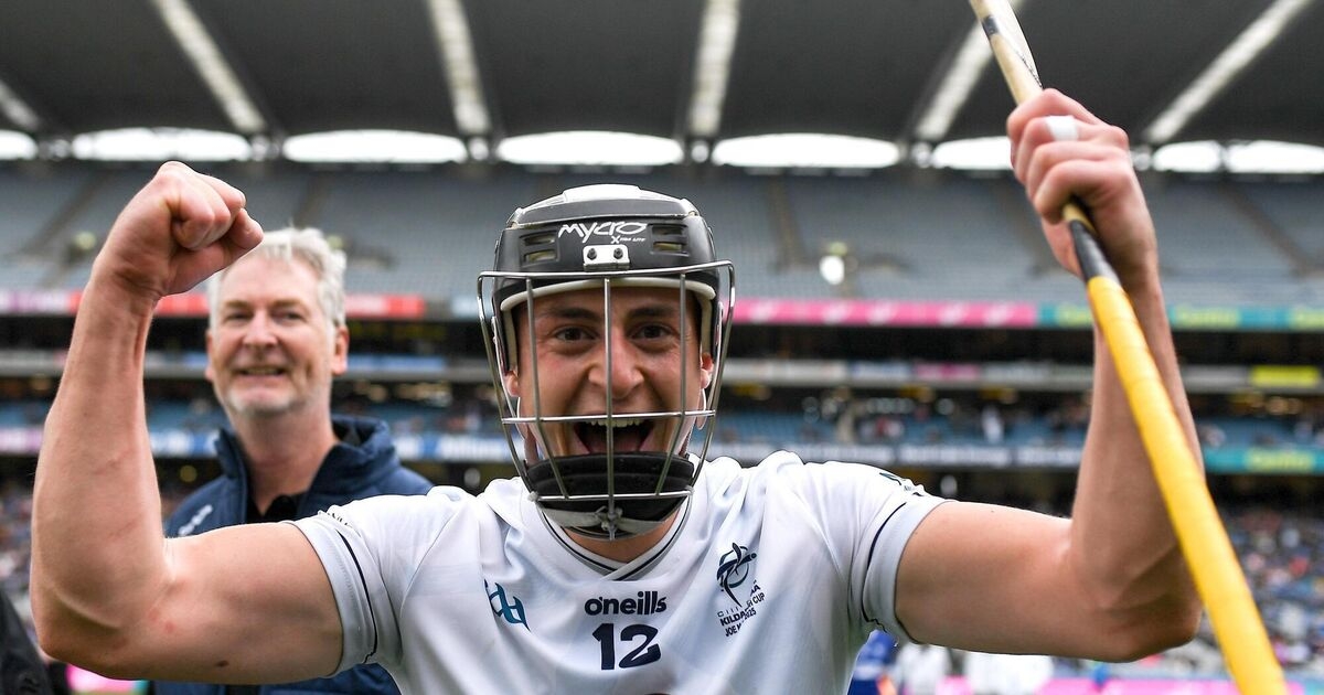 Kildare's Leinster SHC clash with Galway will be special for the Qualter family