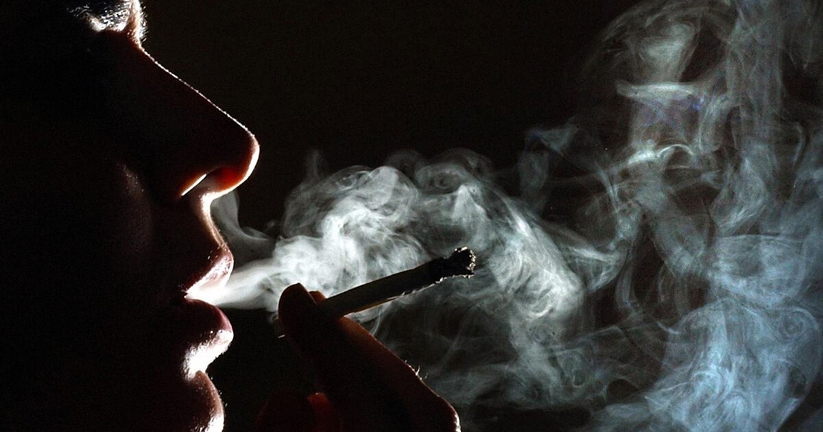 Lorry driver stopped with €1.1m of cannabis told gardaí 'I'll smoke it tomorrow', court hears