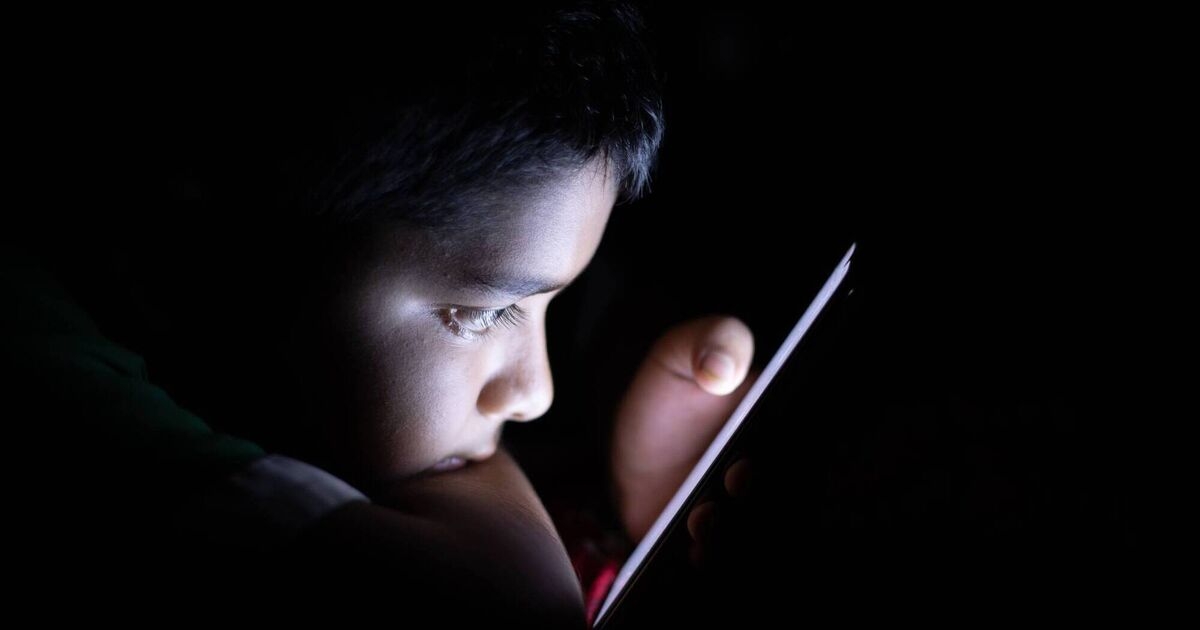 Colman Noctor: France pulls the plug on underage access to pornography