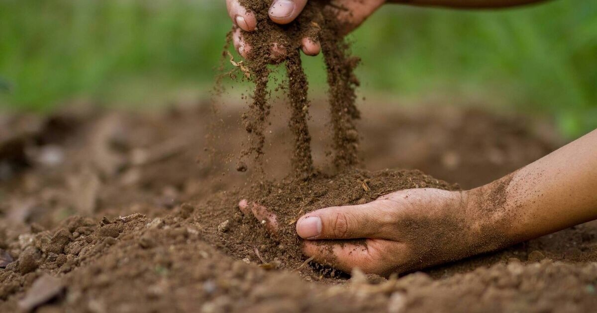 From the stars to the soil... agtech taking inspiration from Nasa