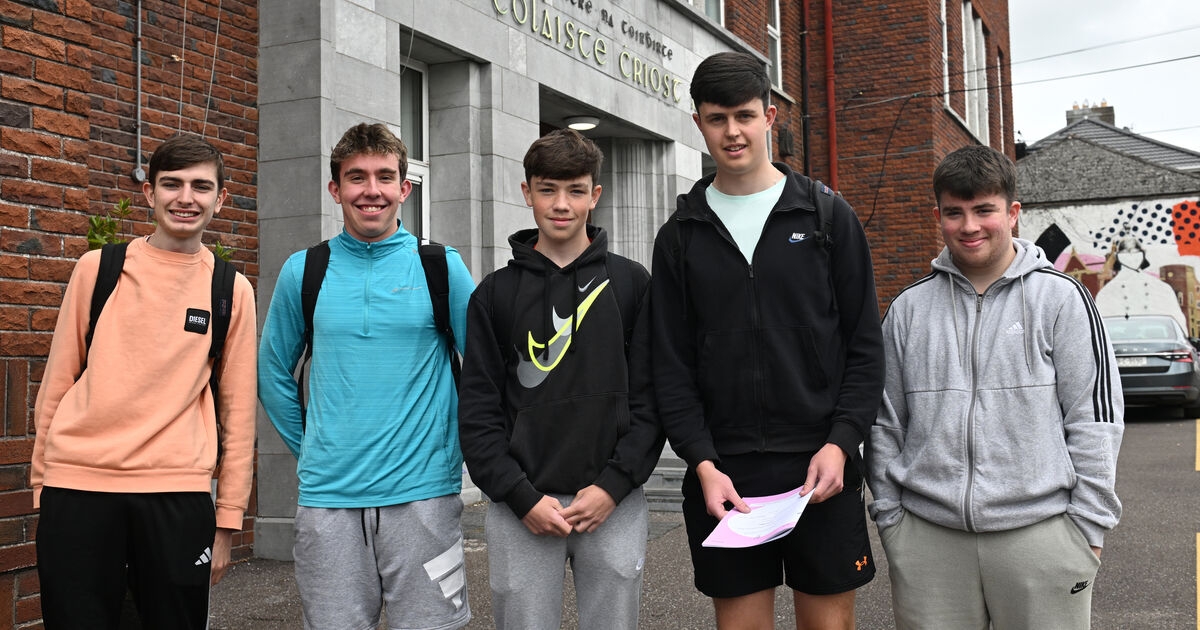 Rory Gallagher and ‘Hurlamaboc' feature on well-received Leaving Cert Irish paper