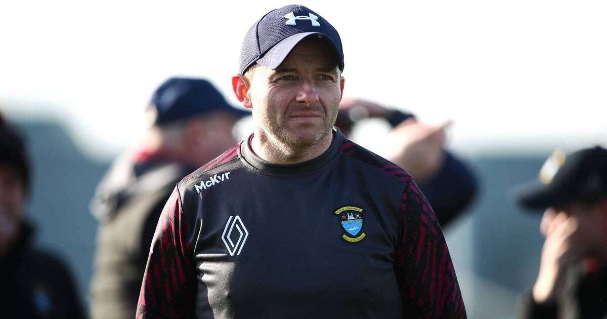 Limerick man Bulfin steps down as Westmeath hurling manager after one season