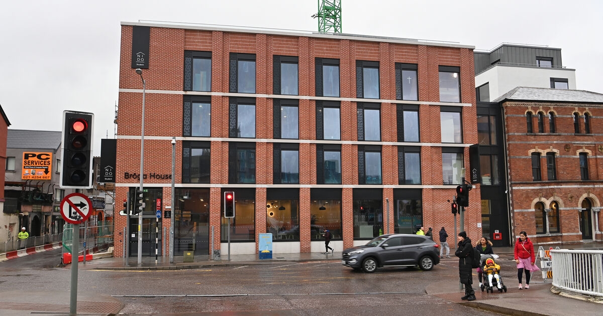 Rent control changes will make student accommodation crisis 'a lot worse', Dáil committee told
