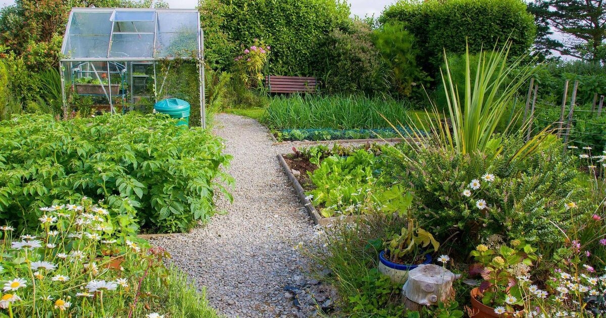 Donal Hickey: More allotments wanted — there's a 2-3 year waiting list in Cork