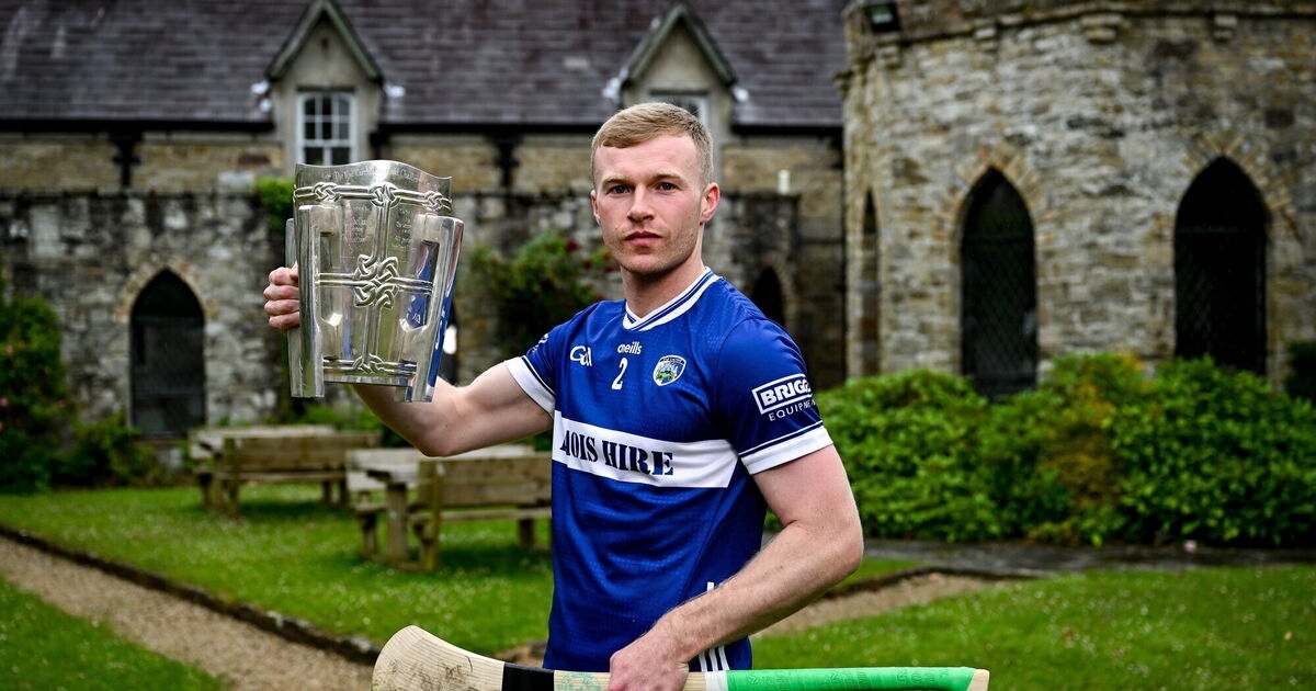 Delaney and Laois eager to pick up pieces and go again