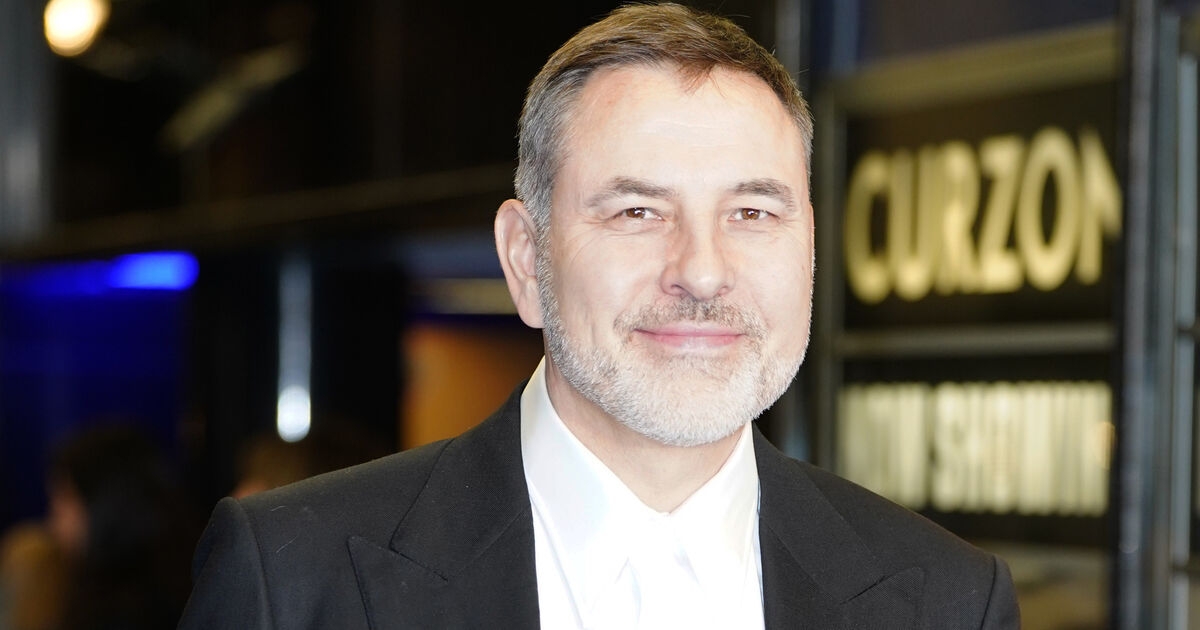 David Walliams ‘gave Nazi salutes while recording BBC's Would I Lie To You?'