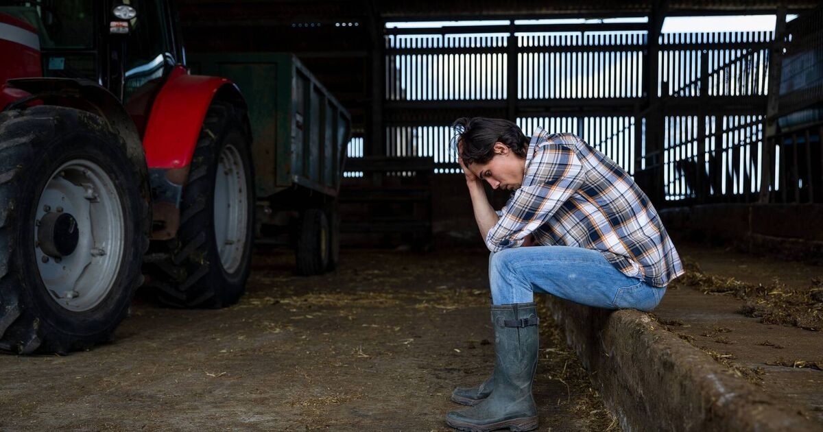 Project to strengthen farmers' mental health 'very successful'