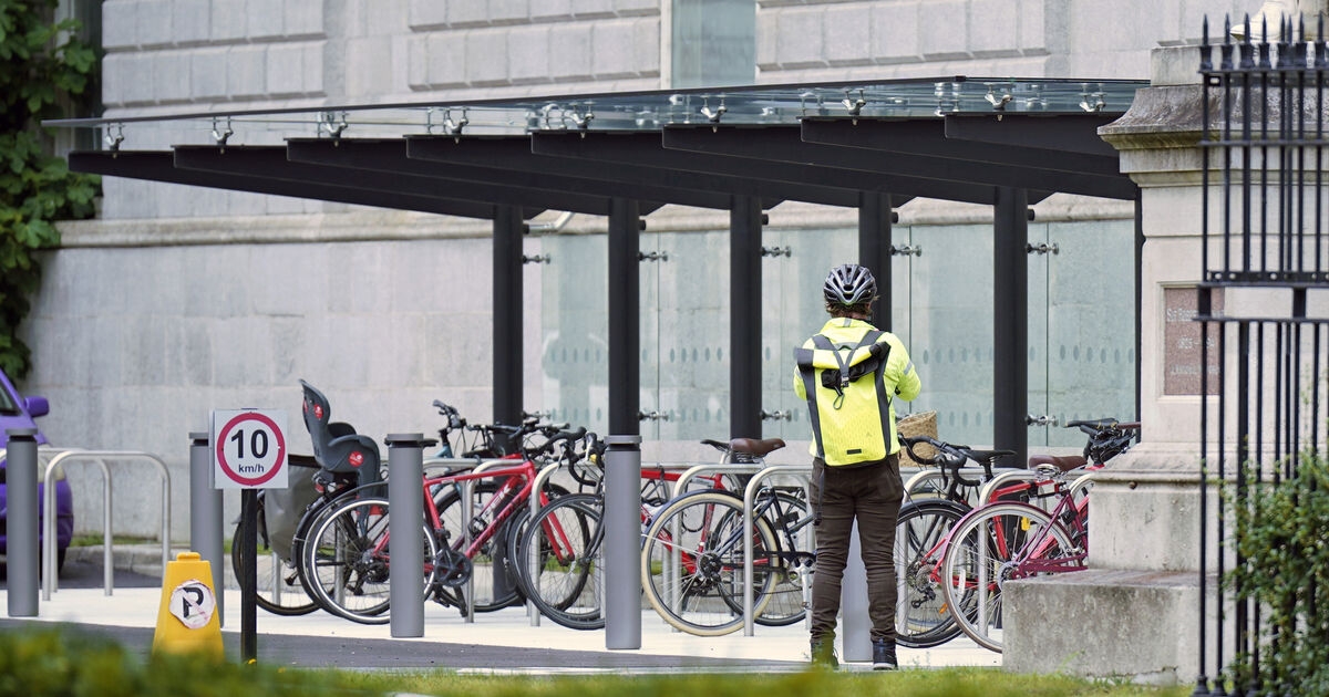 Leinster House cycle shed construction was delayed after manhole discovered on site