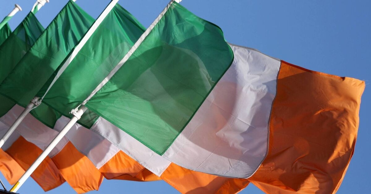 Mick Clifford: We must take our Tricolour back from those who sow hate and intolerance
