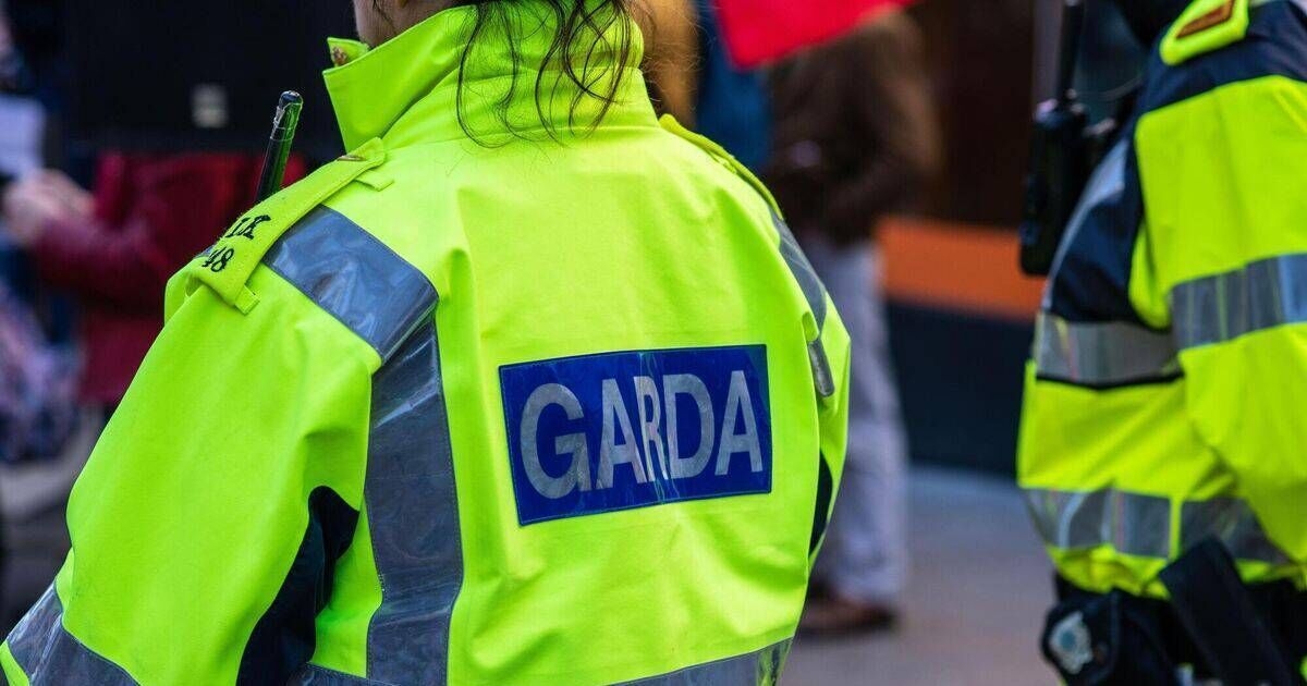 Cocaine and cannabis worth €170,000 seized in late-night garda raid in Kerry