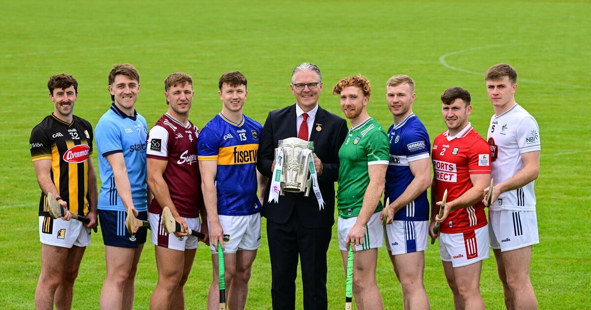 Jarlath Burns to set up group to reform inter-county structures, with hurling set for tweaks
