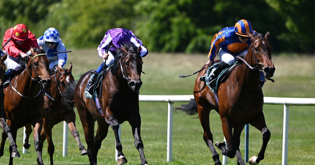 Gstaad leads O'Brien's dual Coventry challenge
