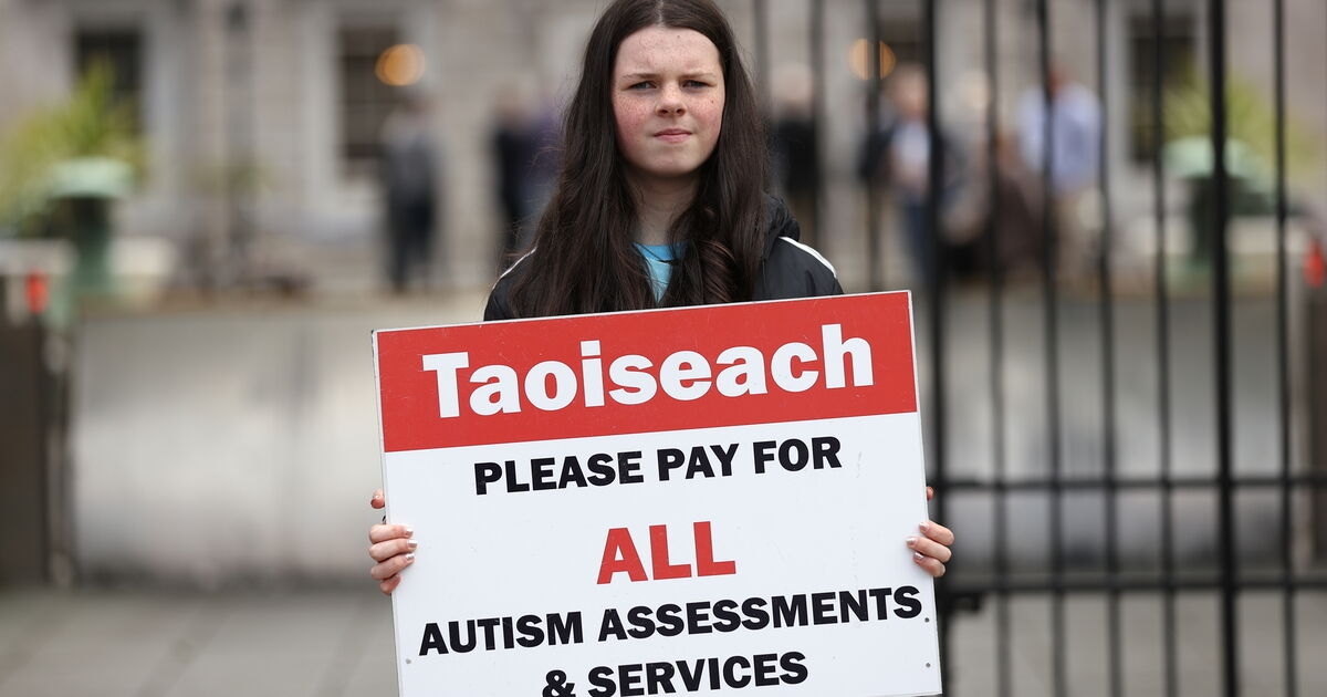 Cara Darmody: The law breakers are at the Cabinet table