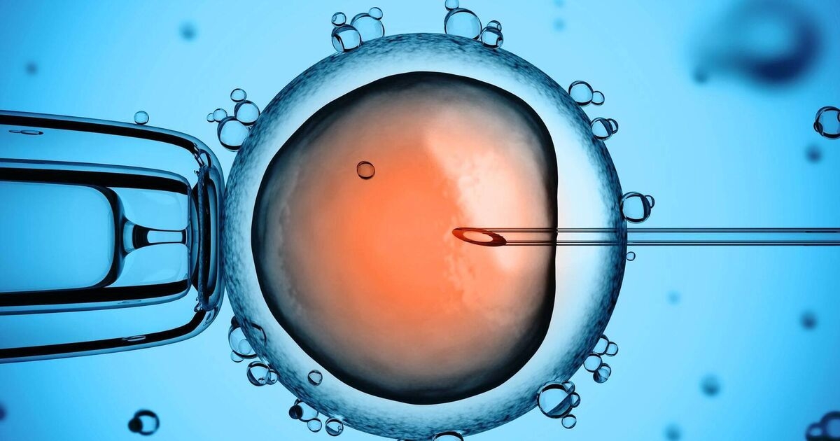 Half of those interested in starting a family are worried about their fertility — or their partner's