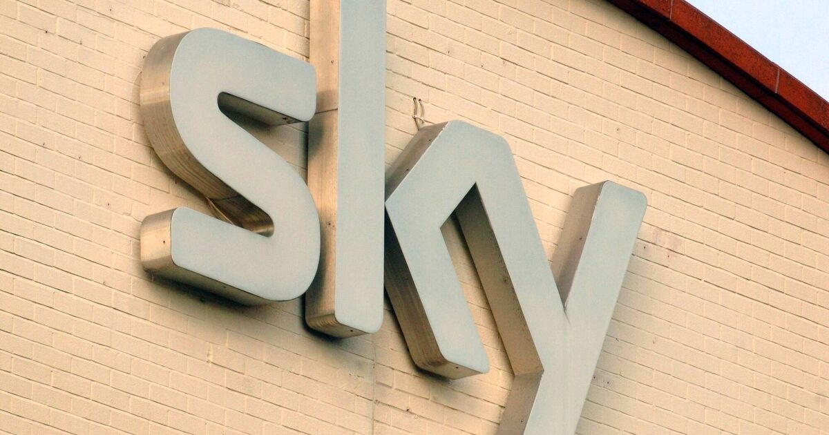 Sky claims man may have made €450,000 a year from 'dodgy box' service