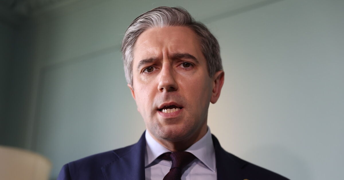 Harris raises alarm over US vetting of Irish students' social media accounts