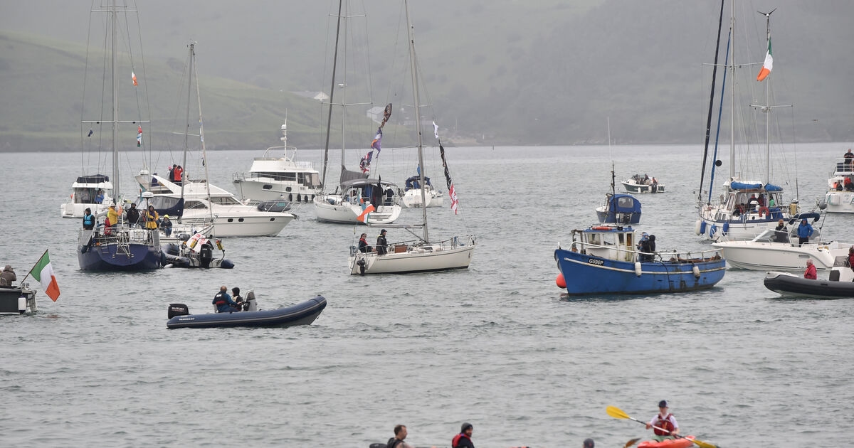 Industrial-scale Mussel farm is ‘completely incompatible' with Kinsale Harbour, campaigners say