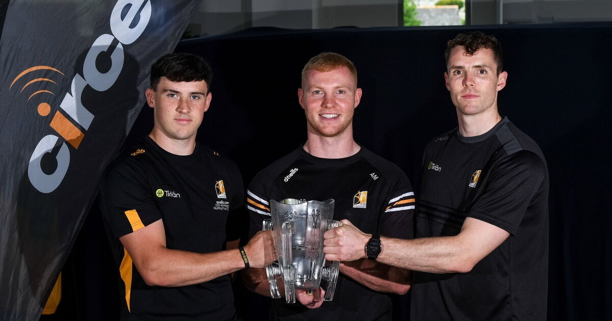Late bloomer Huw Lawlor in hurler of the year form
