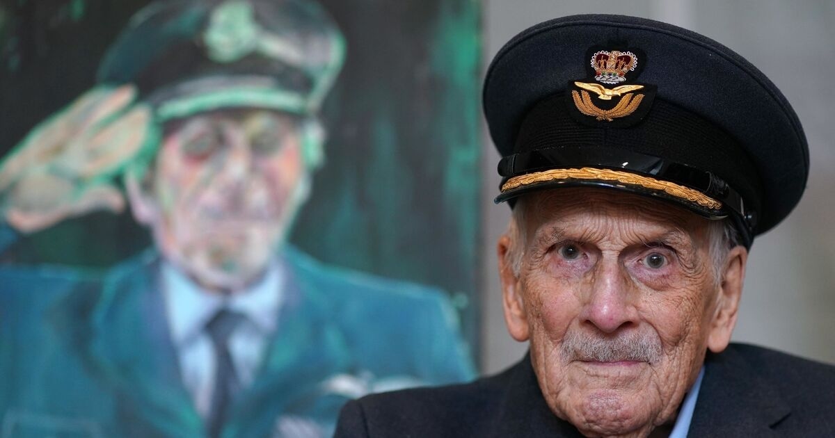 Portrait of last Battle of Britain pilot handed over at National Museum