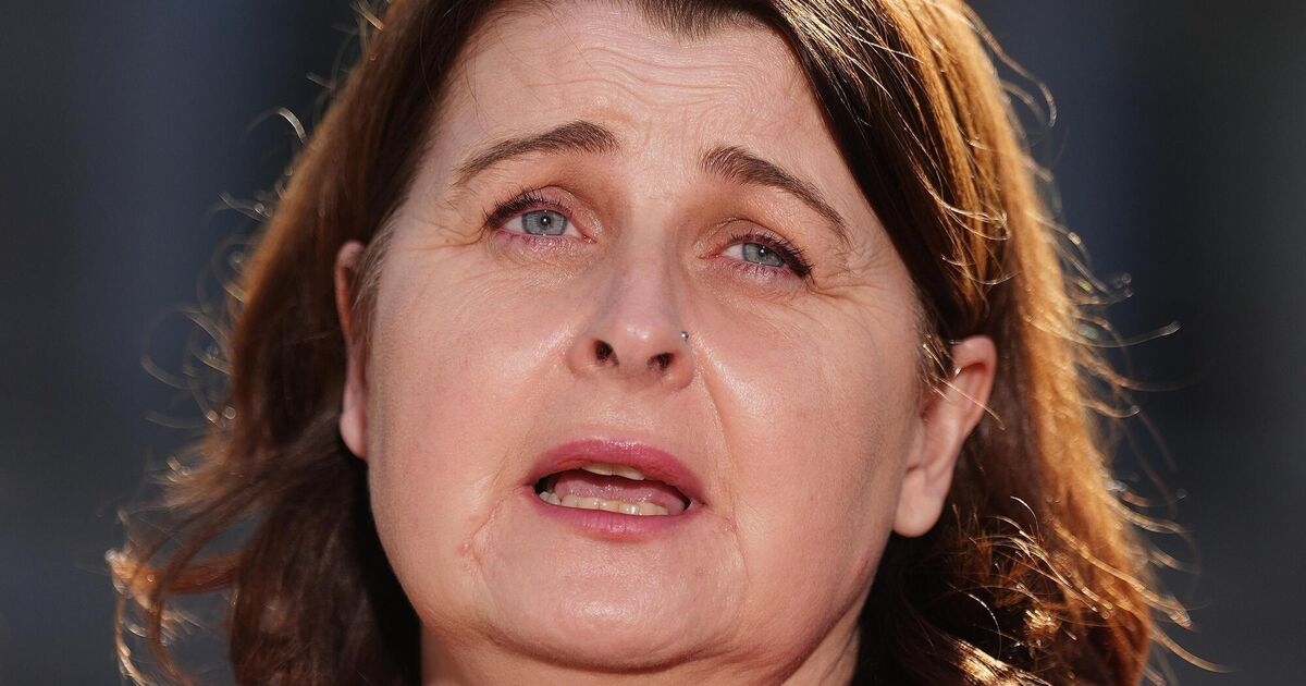 Government urged to ‘get its act together' over third-level fees plan