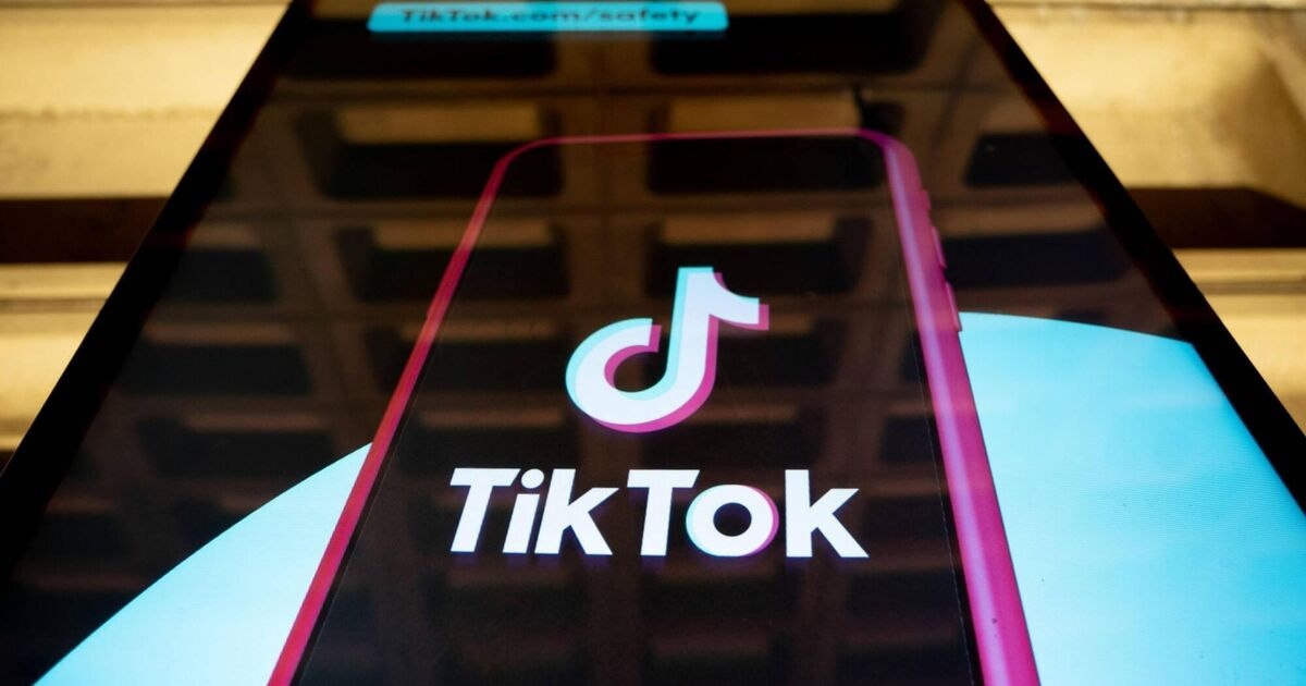 Ireland's data commissioner launches new investigation into TikTok