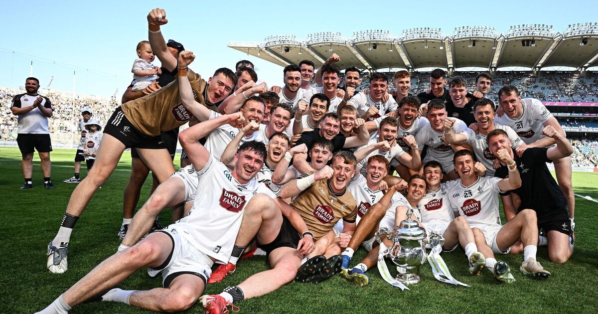 Kildare pass stern Limerick test to secure Tailteann Cup glory
