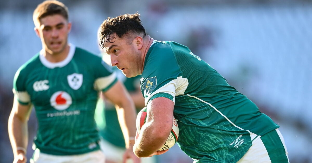 Leinster Lions grow in numbers as prop Clarkson gets surprise call-up from Farrell